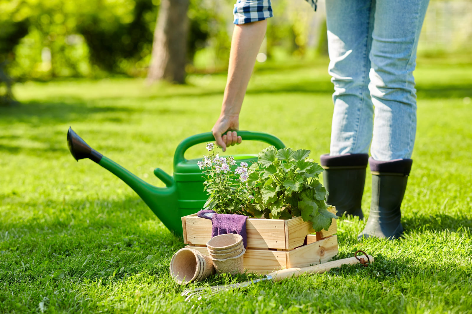 gardening and people concept woman with watering